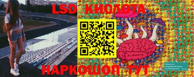 ГАЛЛЮЦИНОГЕННЫЕ ГРИБЫ Будённовск