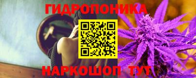 прущие крисы Бузулук