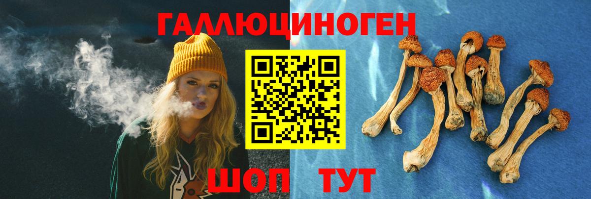 Псилоцибиновые грибы Psilocybe  закладки  Северобайкальск  Вход с VPN 